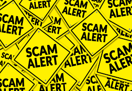 Flipveronica's tweet photo. Another #scammer
#zpbullcoin and now #vpcrypto.org. 
Her #telegram ID is @lina135499
Link scam exchange to vpcrypto: #vpcrypto.org/#/home
#Scam #mafia #gang #cybercrime
#CMTT #STE #MVTR #MUOA #ZZS #bitneorss #etalbit #perbiiis #perbiit #fycurrss  #TEO #CHPK #LNON #tinkmaxs https://t.co/rAEuDFVKsE