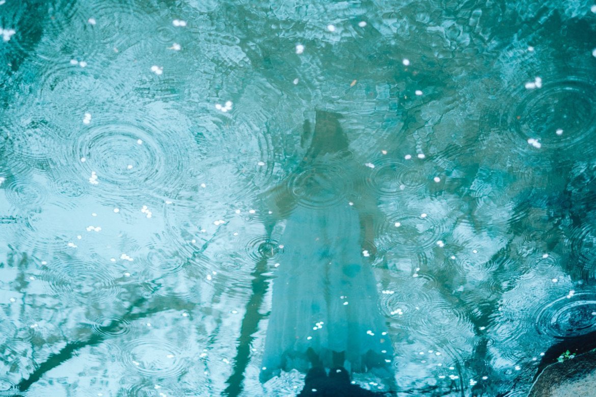 haru_aru_ru_u_'s tweet photo. 雨季でウキウキ

・

・ https://t.co/4J9SwNiBaX