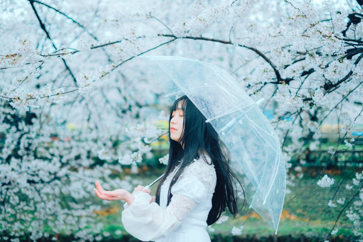 haru_aru_ru_u_'s tweet photo. 雨季でウキウキ

・

・ https://t.co/4J9SwNiBaX