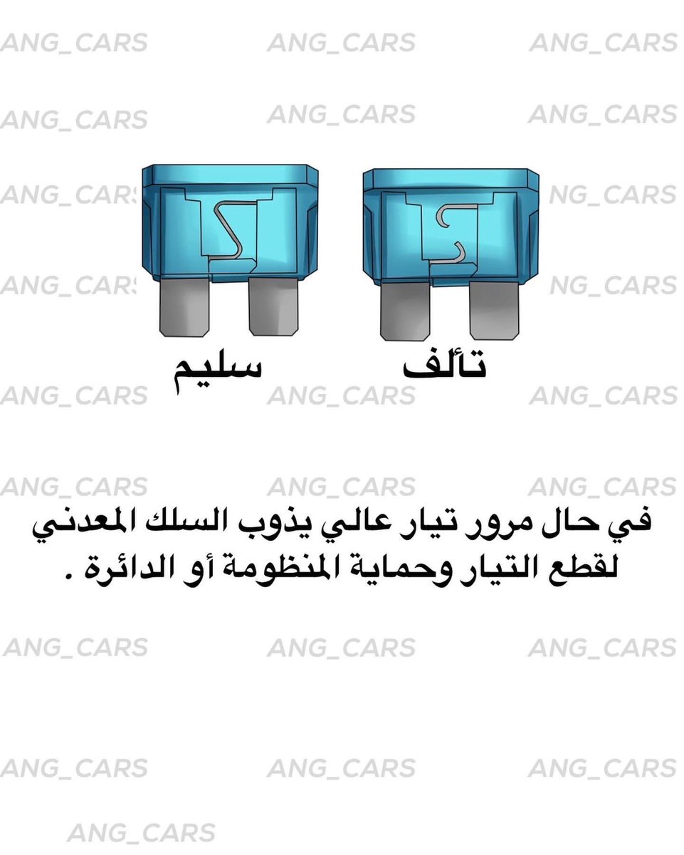 cars_ang tweet picture