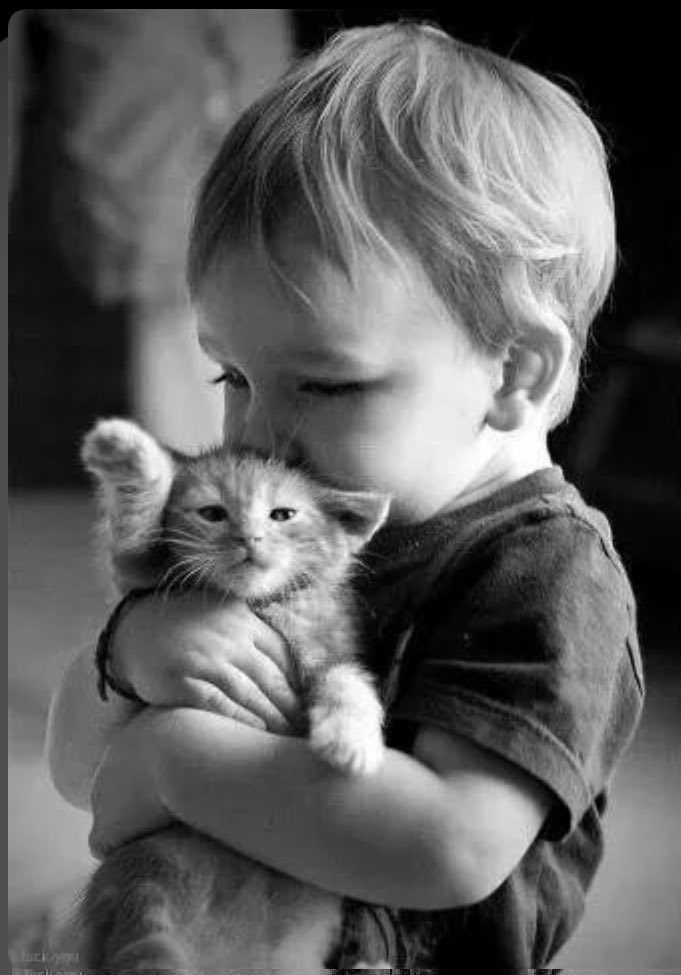 GIORNATA MONDIALE DEL BACIO 💋💋💋💋💋💋💋💋💋💋💋💋