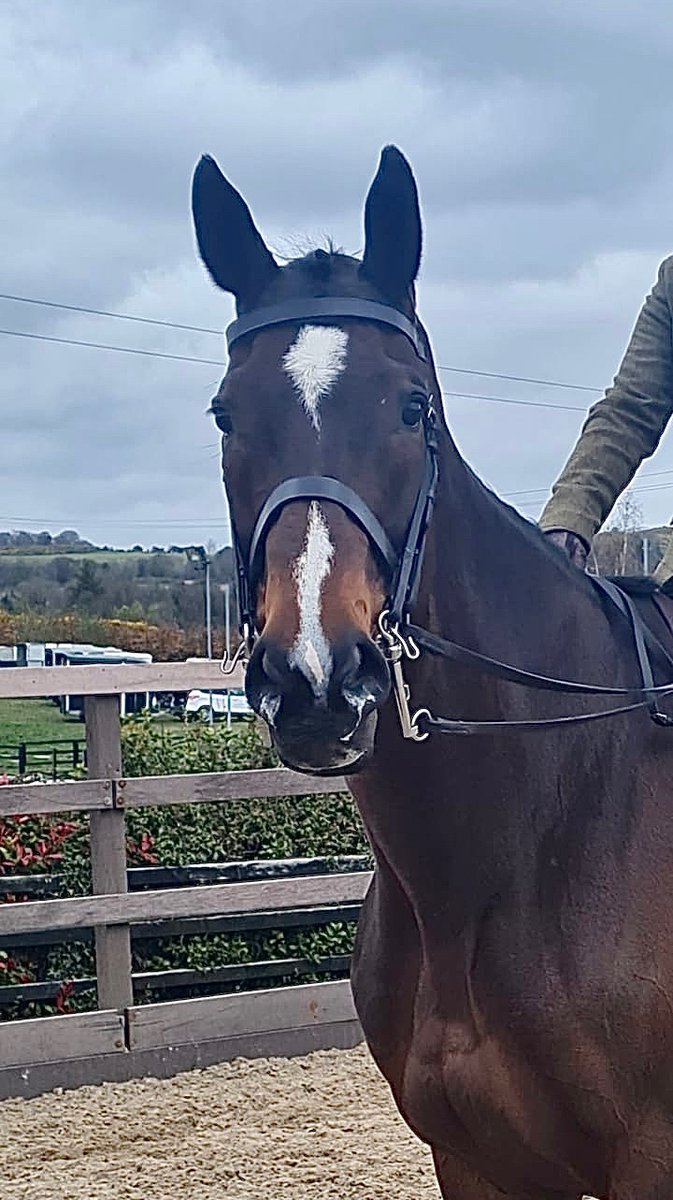 We have 2 x pairs of tickets for <a href="/Fairyhouse/">FairyhouseRacecourse</a> on Easter Monday to give away. For your chance to win comment on this post the name of this past Irish Grand National winner, like this post &amp; also Retweet. Winner will be announced at 7pm today.