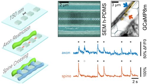 José Mateus tweet media
