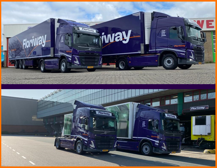 Je kunt nu nog meer Floriway-vrachtwagens spotten! Naast de allereerste vrachtwagen die in februari de weg op ging, zijn er nu nog vier wagens afgeleverd in de paars-oranje kleuren van Floriway. 
 #samenonderweg #floriway #dewinterlogistics #vanzaaltransport #wematrans