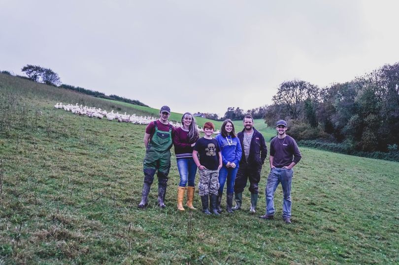 What a great initiative - 'farmer power'! 😃😍💪

South West #farmers and #fishermen form new collective after Farmdrop collapse 👉 devonlive.com/news/devon-new…

<a href="/swproduce/">Farms To Doors</a> <a href="/SoDiscretion/">Sole Of Discretion</a> <a href="/Purtonhouseorga/">PurtonHouse Organics</a> <a href="/dangrist3/">Dan Grist</a> #agriculture #farming #food #buylocal #supportlocalbusiness #eatlocal