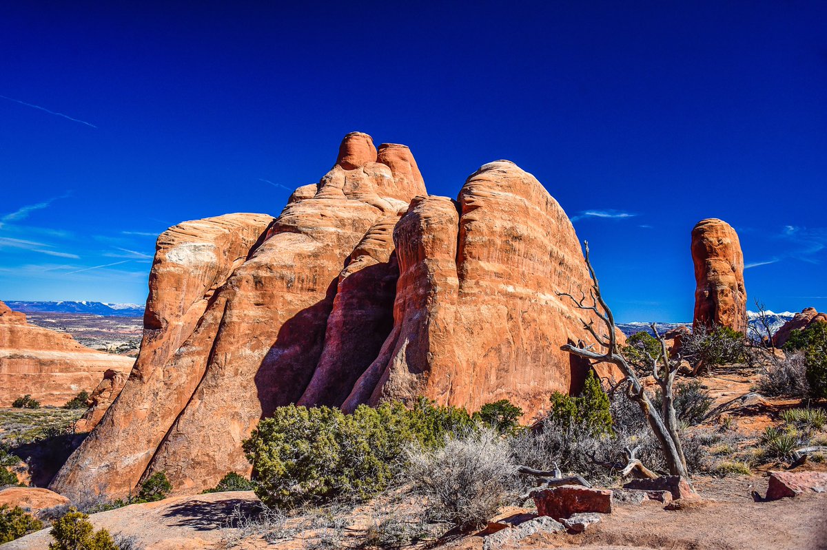 urimiscott's tweet photo. Rock formation in Devils Garden at Arches National Park 

#ArchesNationalPark #DevilsGarden #NationalPark #Utah https://t.co/9hTlEWsDbG