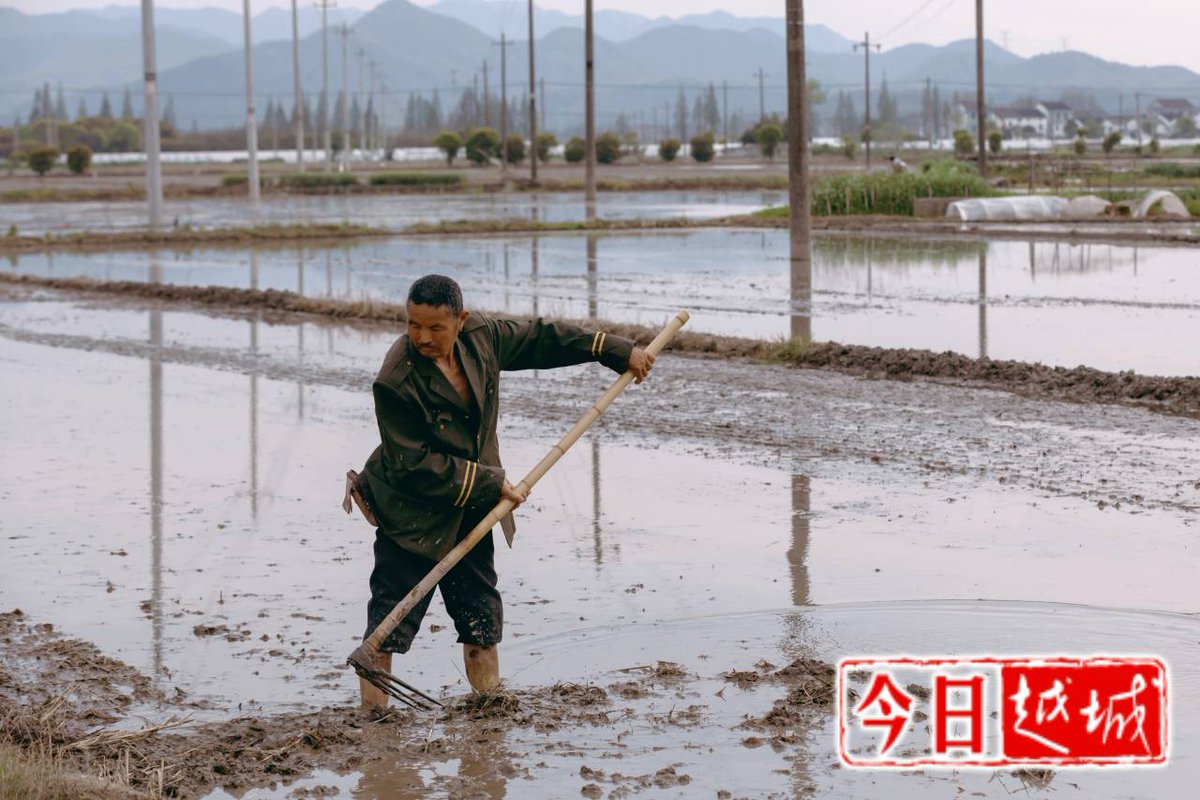 IYuecheng's tweet image. It is high time now for #springplowing and sowing in Zhejiang Province. Let’s appreciate a lively scene in Yuecheng District of Shaoxing City as farmers are busy sowing in the fields.