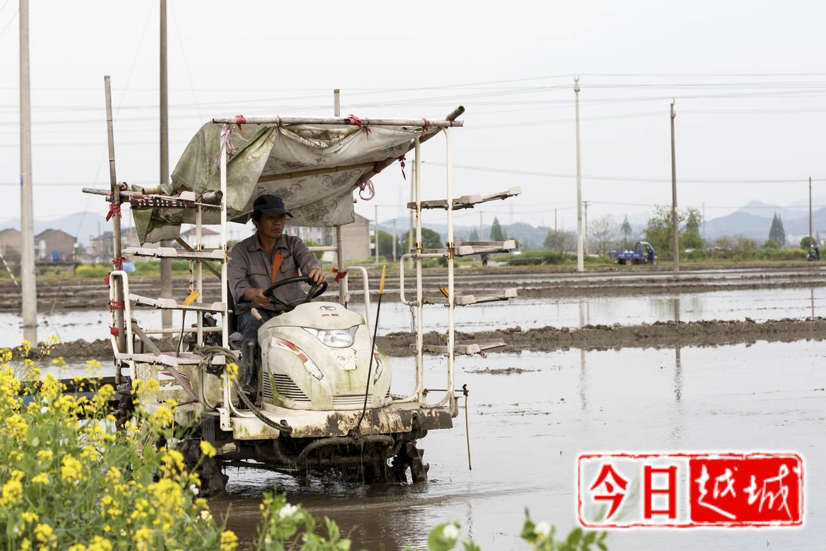 IYuecheng's tweet image. It is high time now for #springplowing and sowing in Zhejiang Province. Let’s appreciate a lively scene in Yuecheng District of Shaoxing City as farmers are busy sowing in the fields.