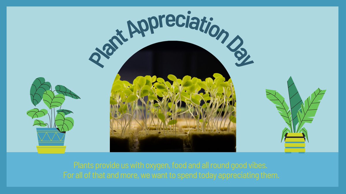 Liberty Produce tweet media