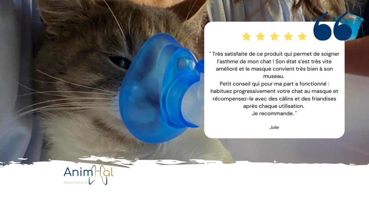 AnimHal_HC's tweet photo. ⭐️[Satisfaction client] Aujourd’hui, on vous partage l’avis de Julie qui a essayé notre produit AnimHal Cat et qui nous a laissé une petite photo avec son très beau chat 🐱 https://t.co/f6sc39Ieuh