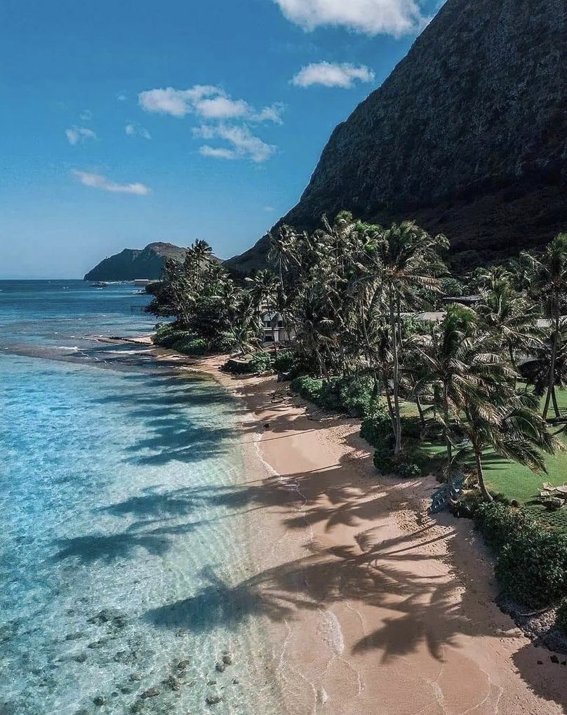 WORLD 2026 🌊 tweet media