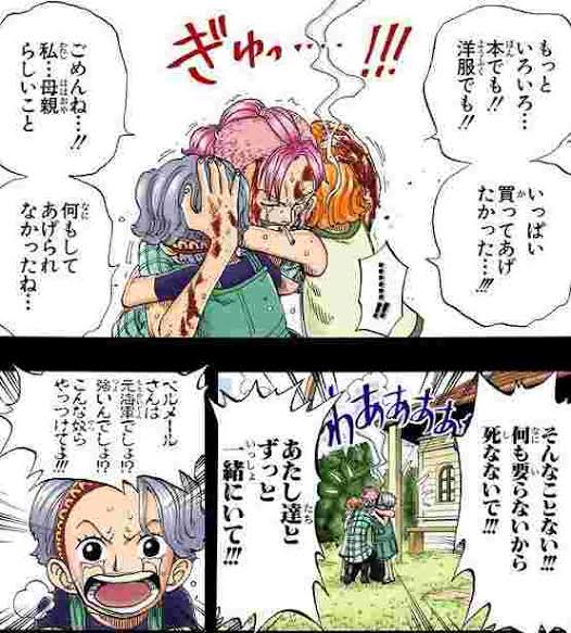 今ナミ編観てるけど 大人になってから見るとまた見方変わるな、腕が砕けてるのにナミを砕けた腕で抱きしめるベルメールさんとか」もくの漫画