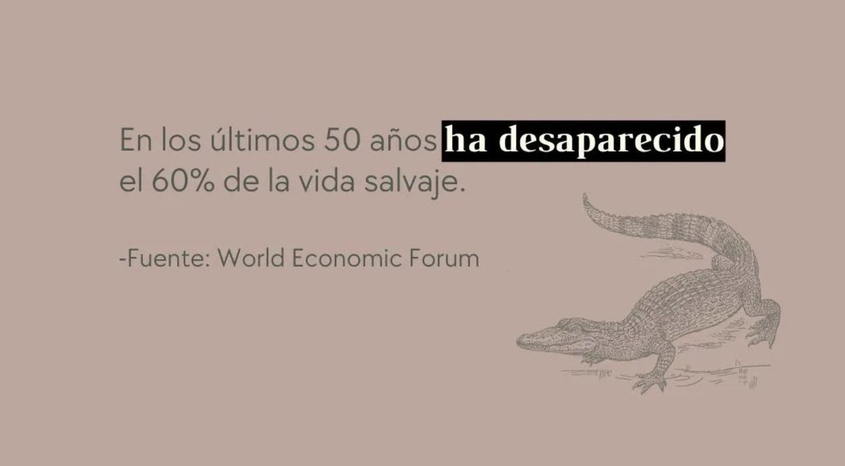 SomosReverdecer's tweet photo. 🦎Los seres humanos, son la principal amenaza para la vida silvestre, han desatado las tres amenazas previas por la caza y la pesca excesivas, así como por la producción de demasiadas emisiones de efecto invernadero.
#vidasalvaje #accionporelclima #vidasubmarina  #ods13 #ods14 https://t.co/crSNbEcOAH