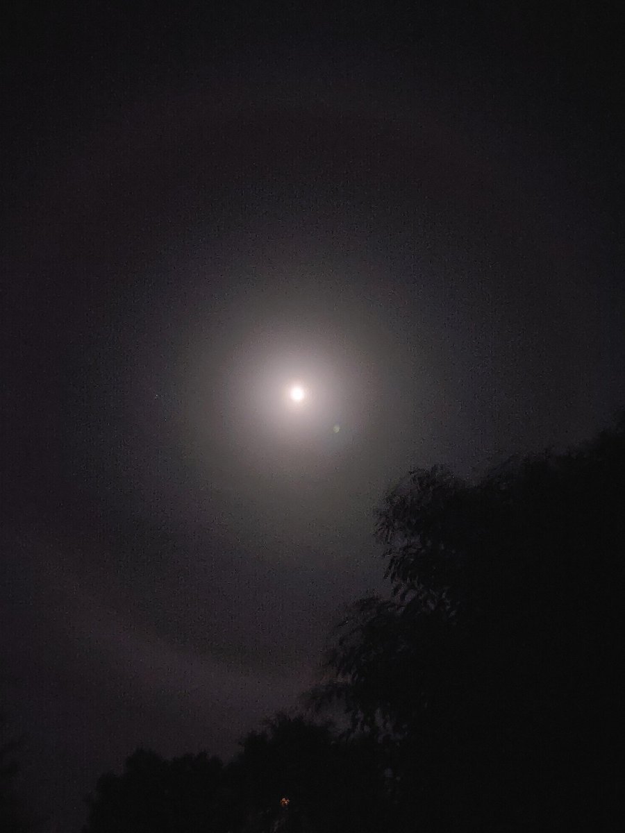 wegeochem's tweet image. Lunar halo tonight in #hamiltron.

A high altitude phenomenon caused by refraction of light from ice crystals at an angle of 22°. 

Also, it often precedes a low pressure system ⛈🙄