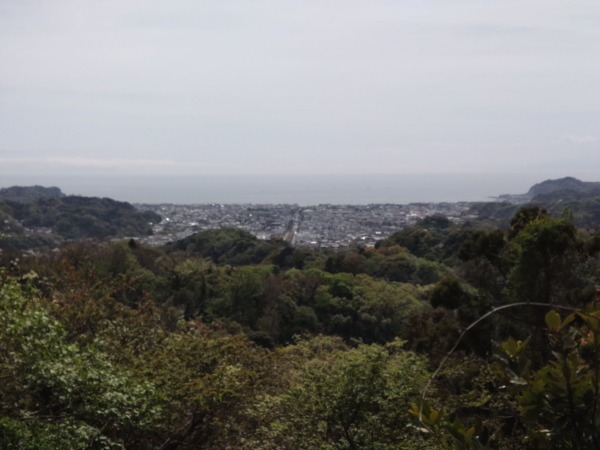 天園休憩所 Twitter Search Twitter