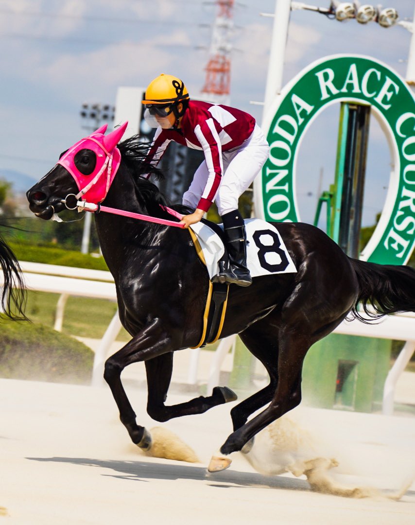 adek776's tweet photo. お馬さんパカパカ

#園田競馬 #競馬 #写真好きな人と繫がりたい #ファインダー越しの私の世界 #馬 https://t.co/BVohYkz4cP