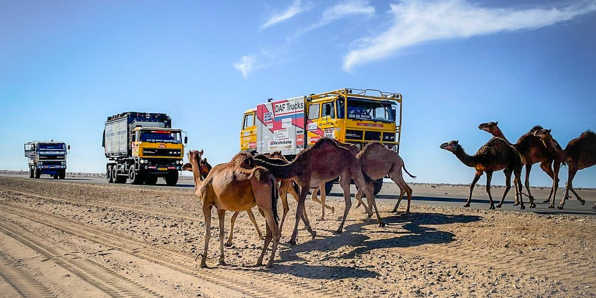 koni_global's tweet photo. We haven't quite finished development of camel shocks, but we can help you travel safely off-road to see them.
Choose #KONI shocks for your vehicle to enjoy your next adventure: https://t.co/8QZX1kOvti
#KONIimproved #shockabsorber #camel #๐ช #offroad #humpday https://t.co/8ekgk732ty