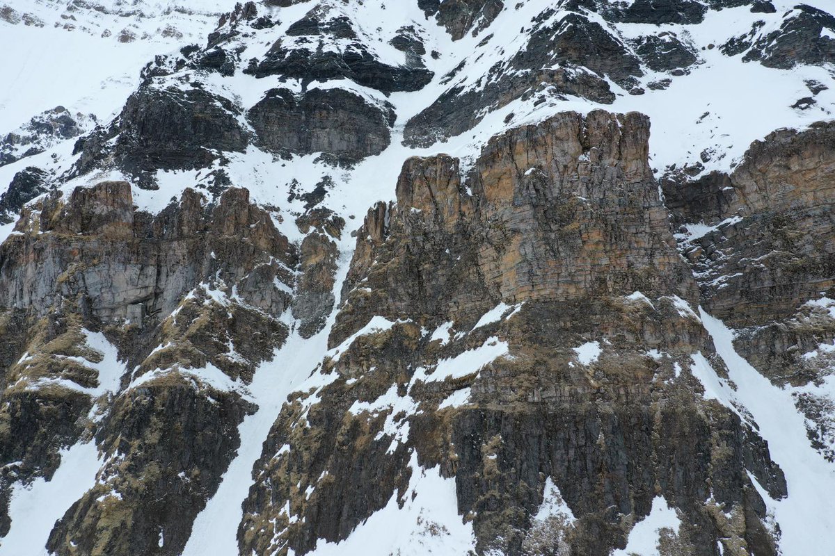 #DOM of the day - Introducing the #Ingeborgfjellet digital model!

Interact with the #Svalbox model here: svalbox.no/?page_id=4152 

 #DigitalGeology #Arctic #Svalbard