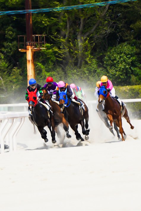 adek776's tweet photo. お馬さんパカパカ

#競馬 #園田競馬 #写真好きな人と繫がりたい #ファインダー越しの私の世界 #東京カメラ部 #馬 https://t.co/nzC8rQM6Kq