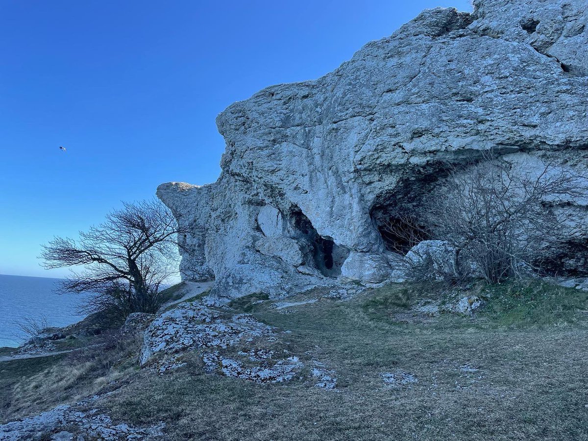 fornestedt's tweet image. 