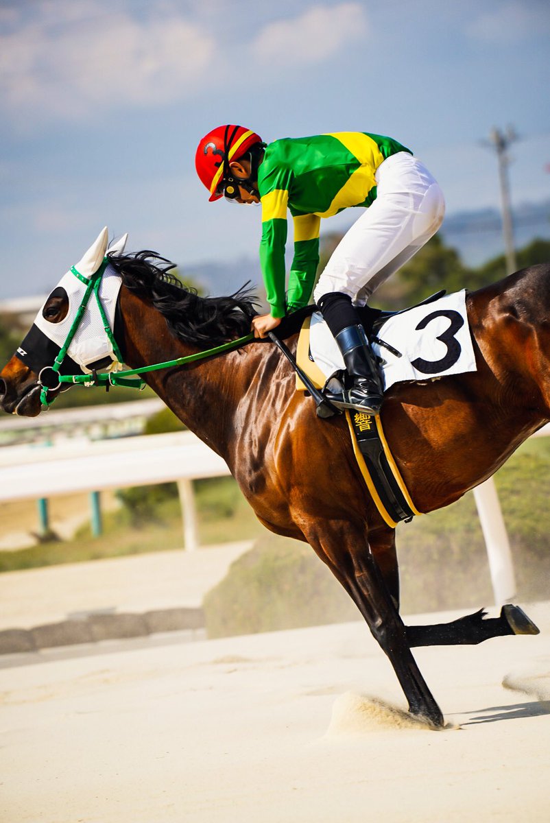 adek776's tweet photo. お馬さんパカパカ

#競馬 #園田競馬 #写真好きな人と繫がりたい #ファインダー超しの私の世界 #馬 #東京カメラ部 https://t.co/yNrvAHhwdJ