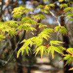 小豆島国際ホテル【公式】恋人の聖地エンジェルロードに一番近い宿★全室オーシャンビューのツイート画像