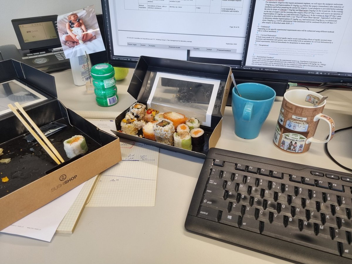 Johannes Bohacek tweet media