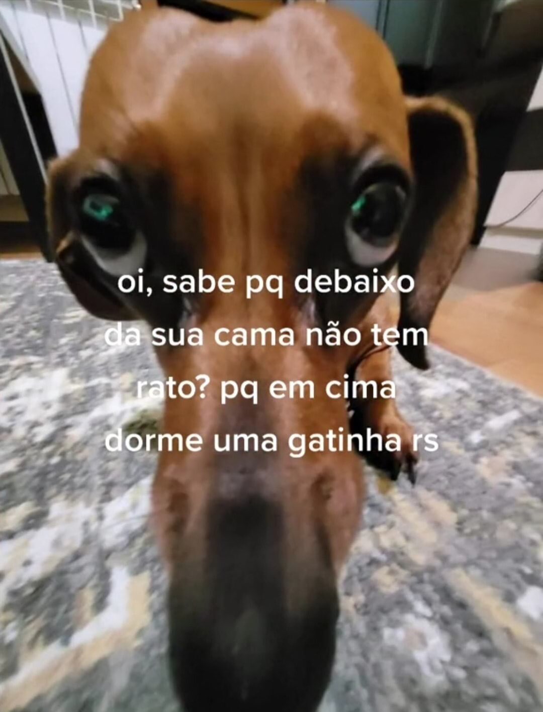 Cantadas fodas que só funcionam na internet 💞💖 on Twitter: Cantadas fodas que só funcionam na internet 💞💖 on Twitter: