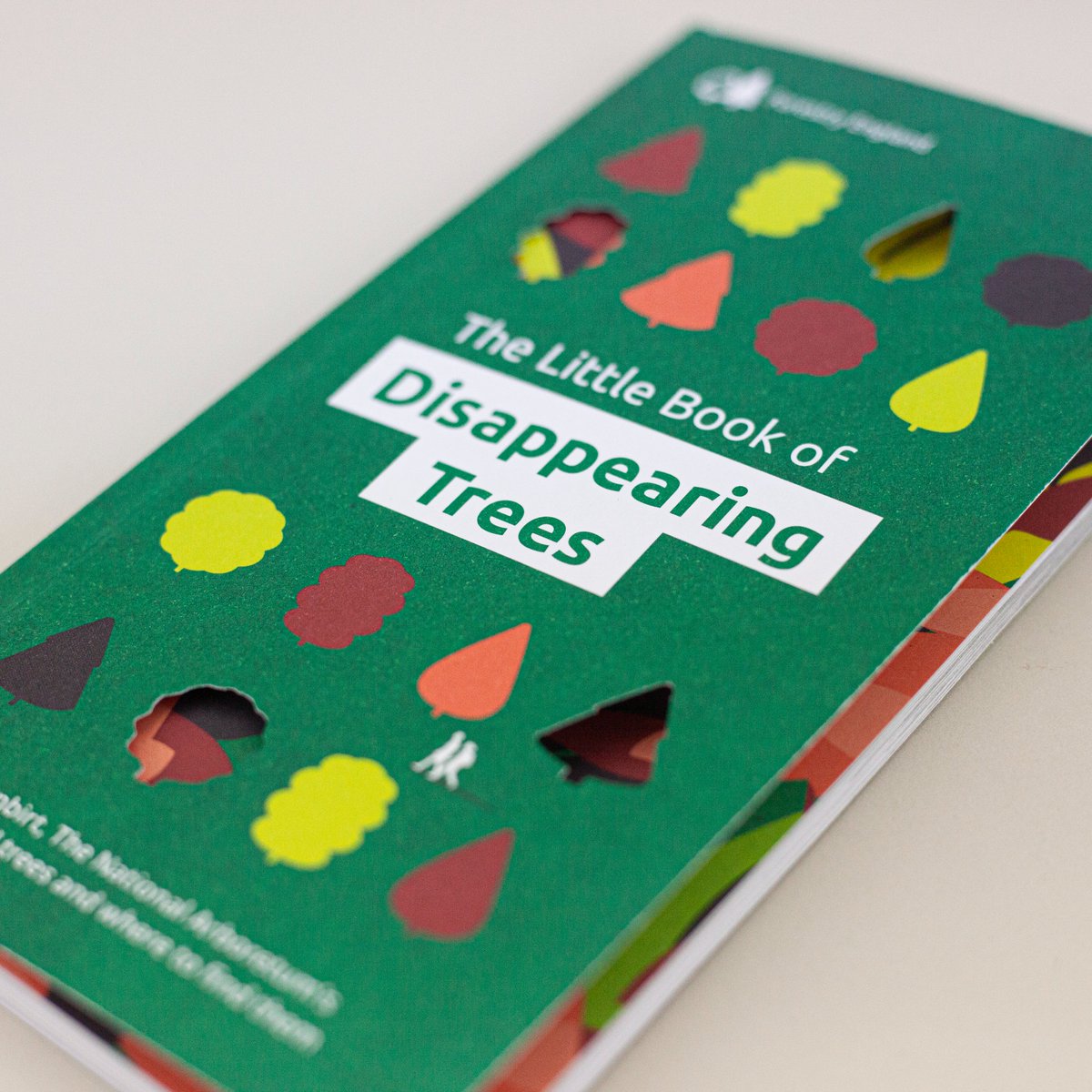 Look what dropped into the studio with the post today! We loved working with <a href="/westonbirtarb/">Westonbirt Arboretum - Forestry England</a> on this delightful book - you can celebrate their efforts to promote and protect endangered species of trees too by visiting their park and going through their discovery trail