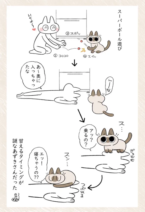 謎のタイミング #シャム猫あずきさんは世界の中心 