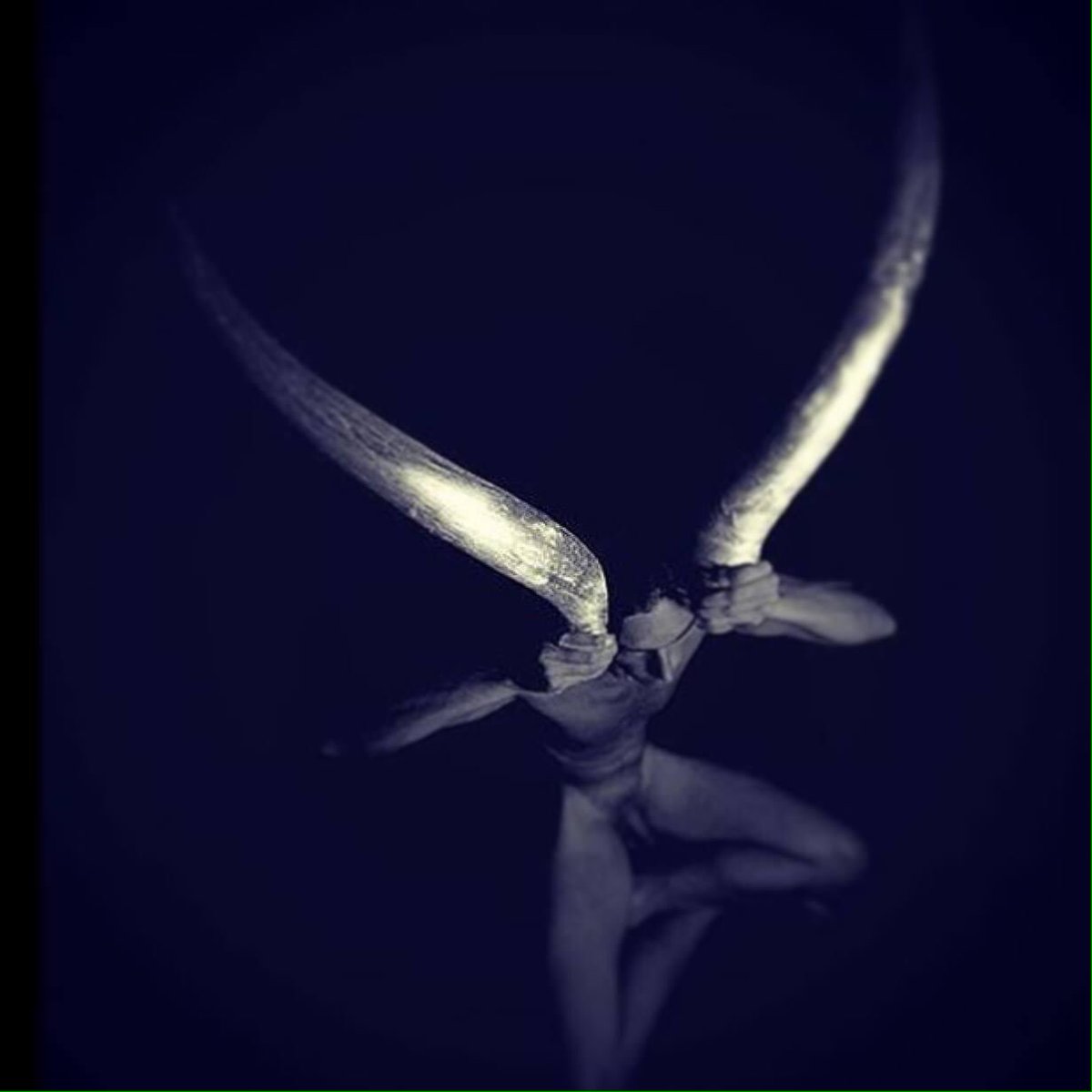 banafshehE's tweet photo. Jeesh I haven't post here for what it feels like a million years ago.. #photobook #studiowork #fineartphotographer https://t.co/O45jDq1kXG