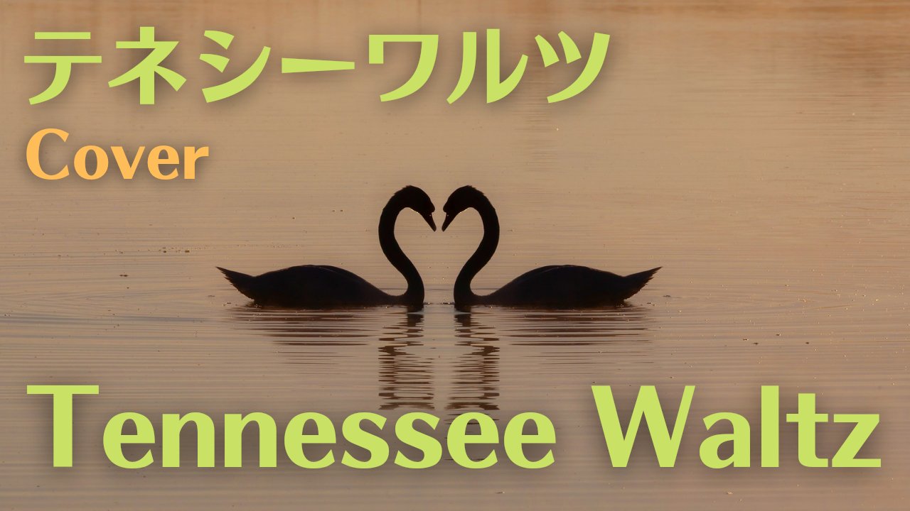 いまいずこ Song Lover テネシーワルツ 英語歌詞 日本でも有名な歌ですが メロディに聞き覚えがあっても 歌詞の意味をご存じの方は少ないようです 実は こんな 悲しい歌です 舞台なので 少し聴きづらくてすみません T Co Hnyd1a79ej