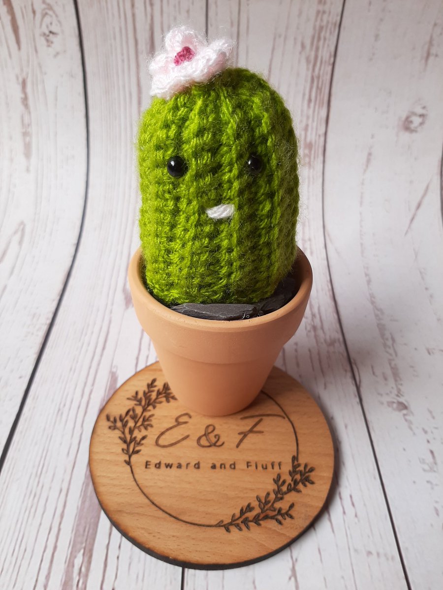 Good morning everyone, I've made these plants recently 🪴 They will be going on my first ever market stall in May! Excited but also nervous! Any hints or tips? 

#SBS #crochet #crochetplants #crochetcactus #crochetsucculent
#Tuesdayvibe #etsyseller #smallbusiness #EarlyBiz