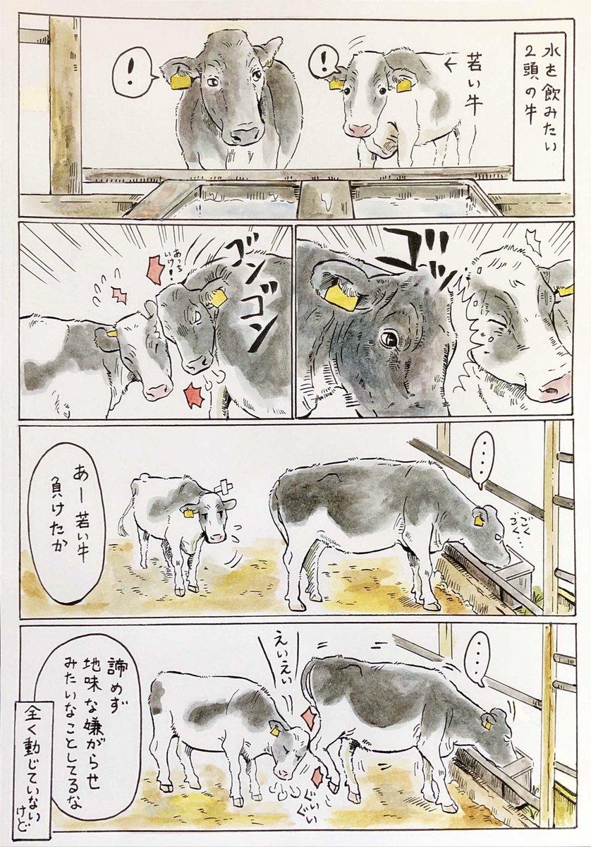 #何度でも見てほしいお気に入りを貼るタグ

なんとなく気に入ってるやつ🐄 