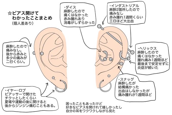 結構前に描いたピアス経験まとめ
なんかの参考にしてください(なるか〜!) 