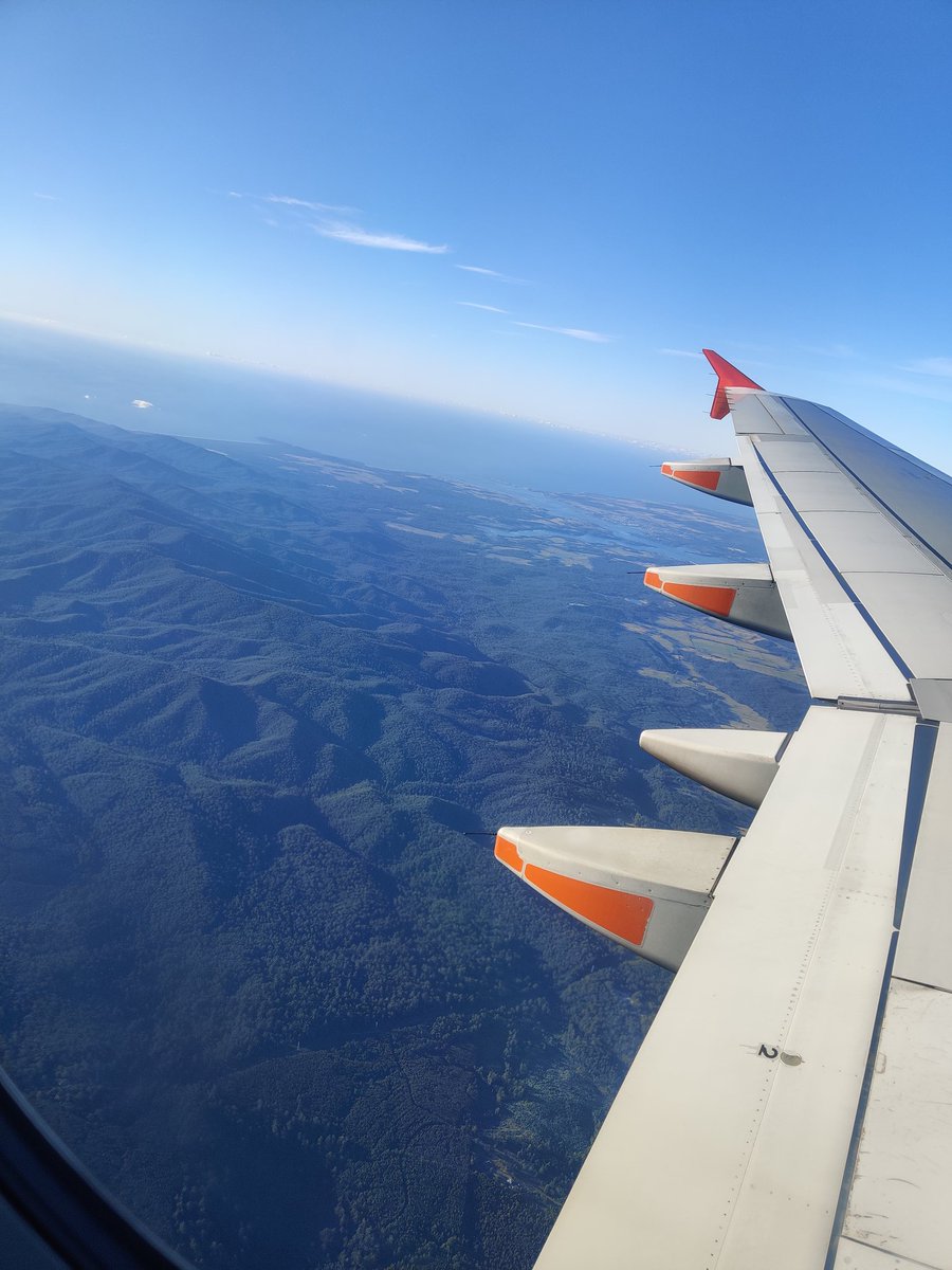 Nat ✨🇵🇸🍉 tweet media