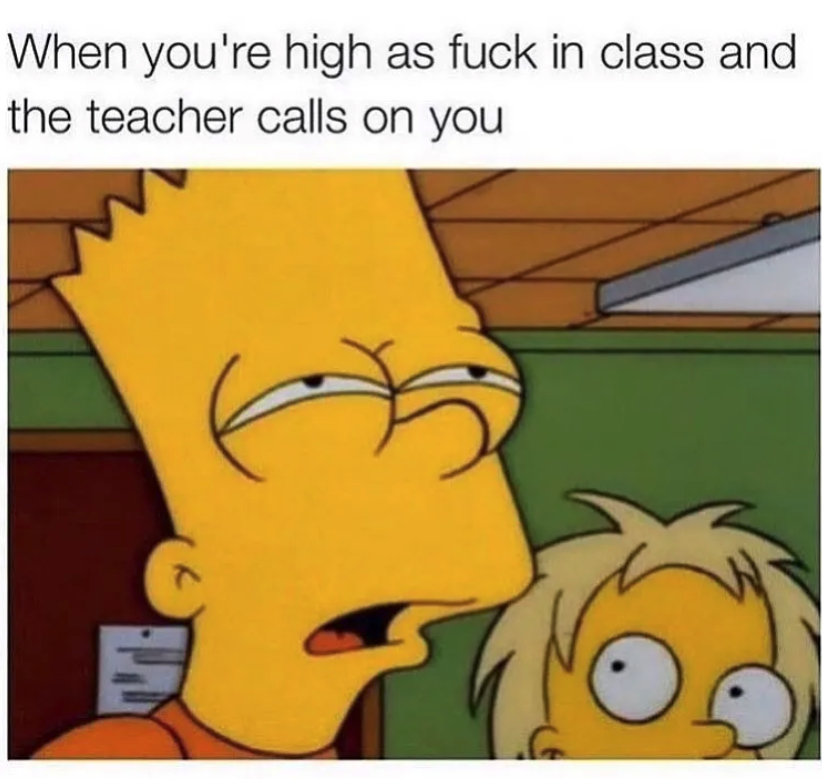 FrostPipe1's tweet photo. Uhhhh what?? https://t.co/p7EQTcFXH9 #frostpipe #Cardano #NFT #CNFT #CardanoCommunity #CardanoStonerzClub #stoned #420 #high #blazed #dope #degen #memes https://t.co/m6lRdgsQZb