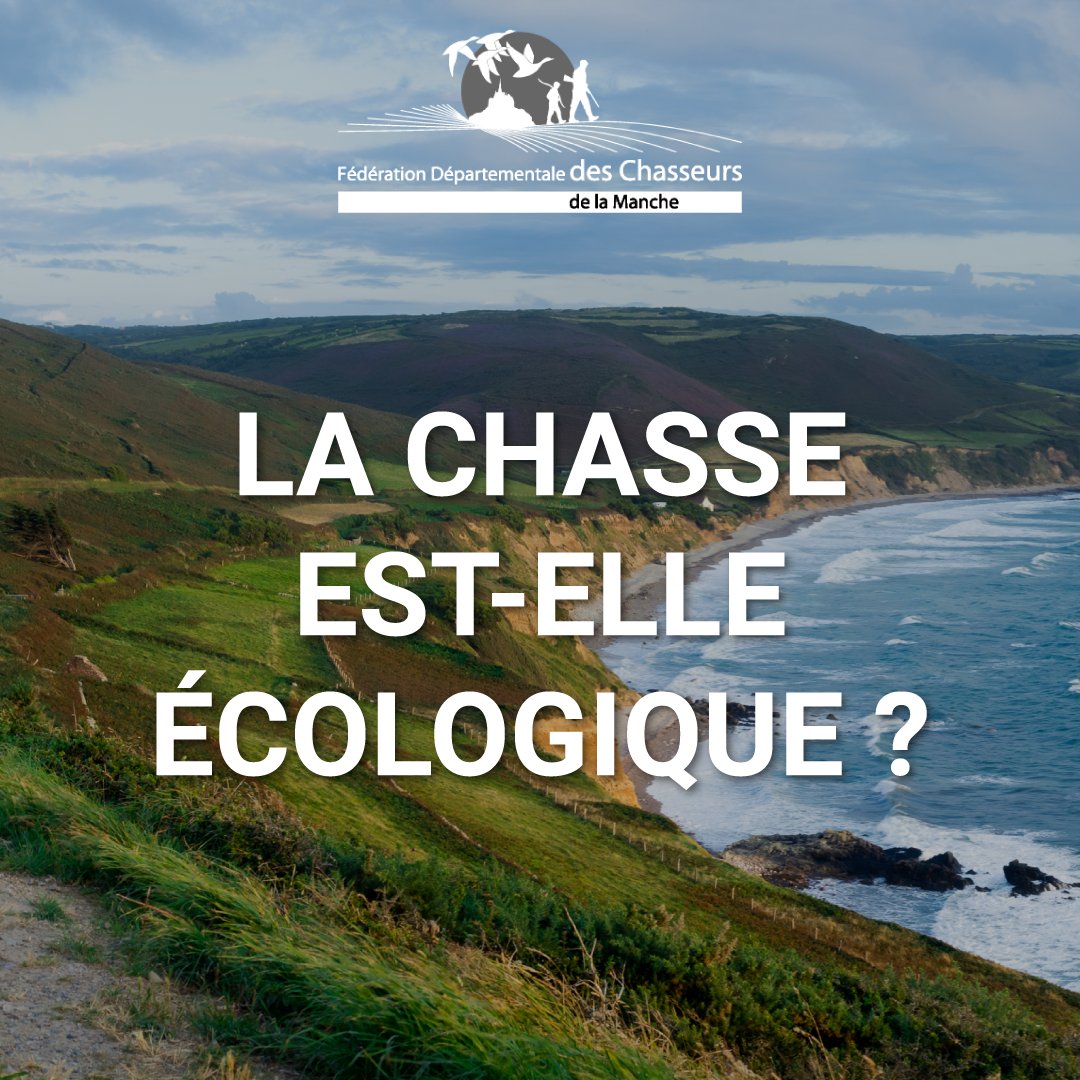 FdcManche's tweet photo. La chasse est écologique 🌿. C'est vrai ! ✅

Bien que la chasse soit écologique, sa finalité est ailleurs ! Elle accorde une valeur prioritaire à la conservation des écosystèmes et des milieux. 🤝🏻 @littoral_cdl 

#fdc50 #infoouintox #conservation #ecosystemes #ecologie https://t.co/hwMkCAaSRw