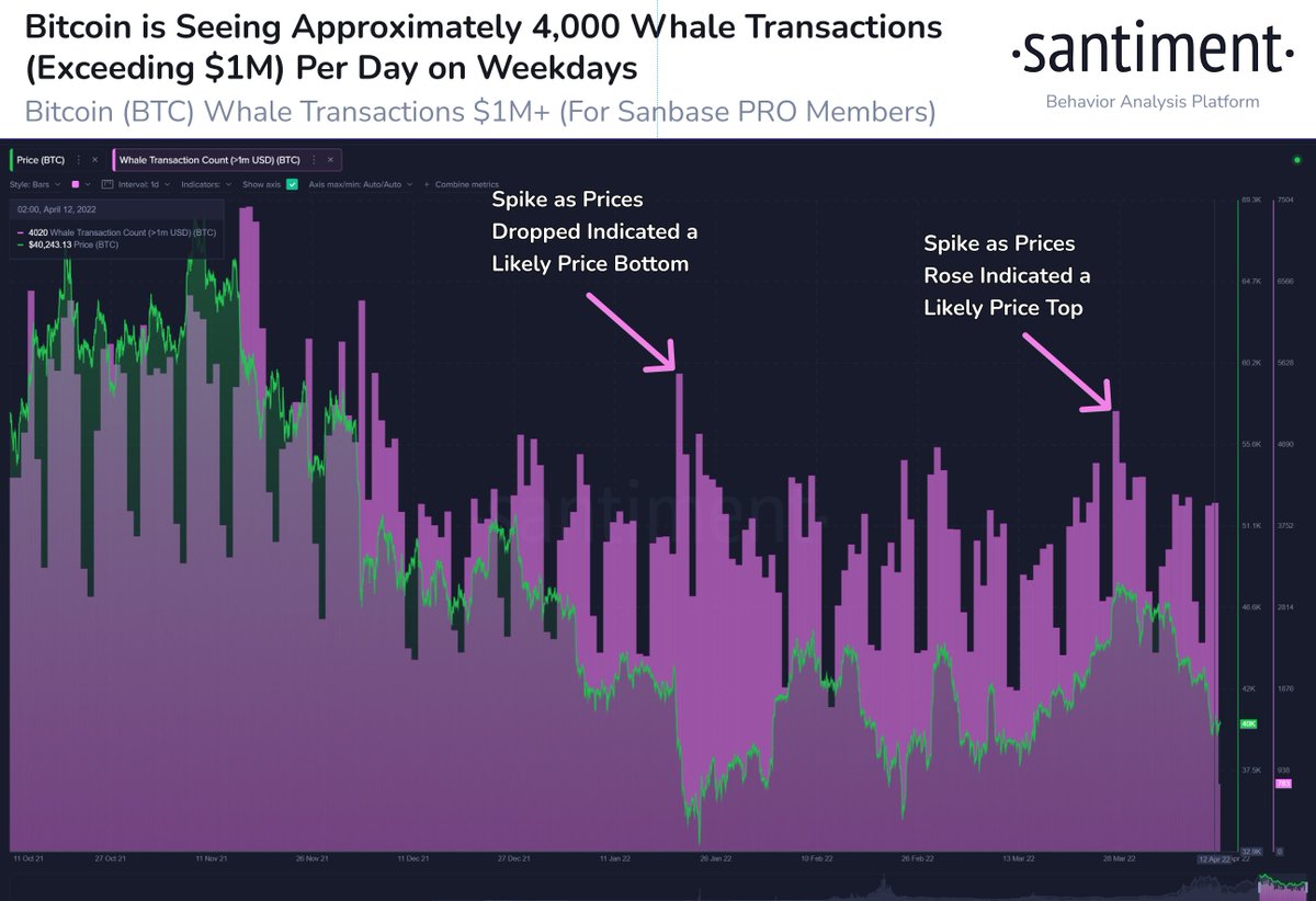 🐳 #Bitcoin is seeing a continued steady supply of ~4,000 whale  transactions exceeding $1M+ Monday through Friday, with mild slowdowns on  weekends. Large increases are what we are looking out for to
