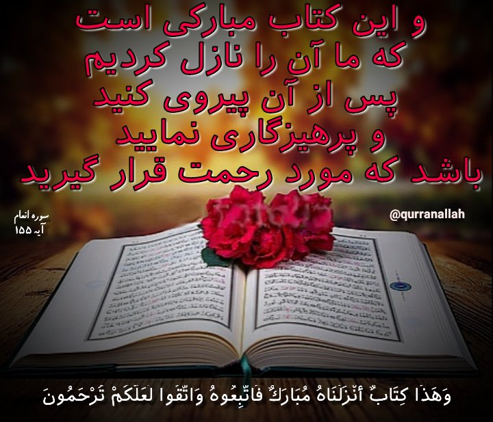 amir tweet media