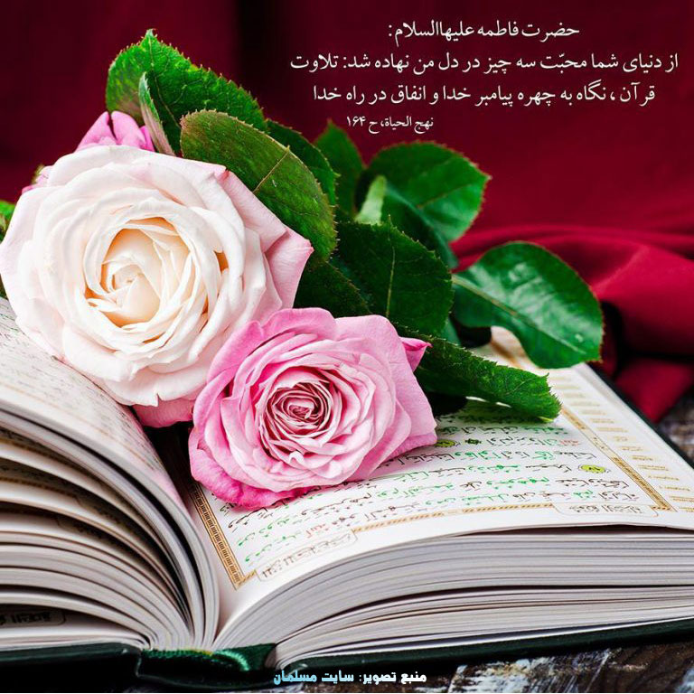 amir tweet media