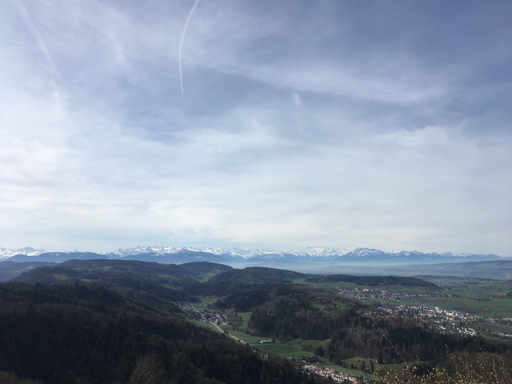 Wonderful morning hike in Zurich along Uetliberg/Albis with views on Rigi and Pilatus. Great warmup for my talk "Vesicular diagnostics: the need for portable fluorometers" @engineeringzhaw. Can't wait to meet with Prof. Mathias Bonmarin who builds iPhone-sized NIR fluorometers