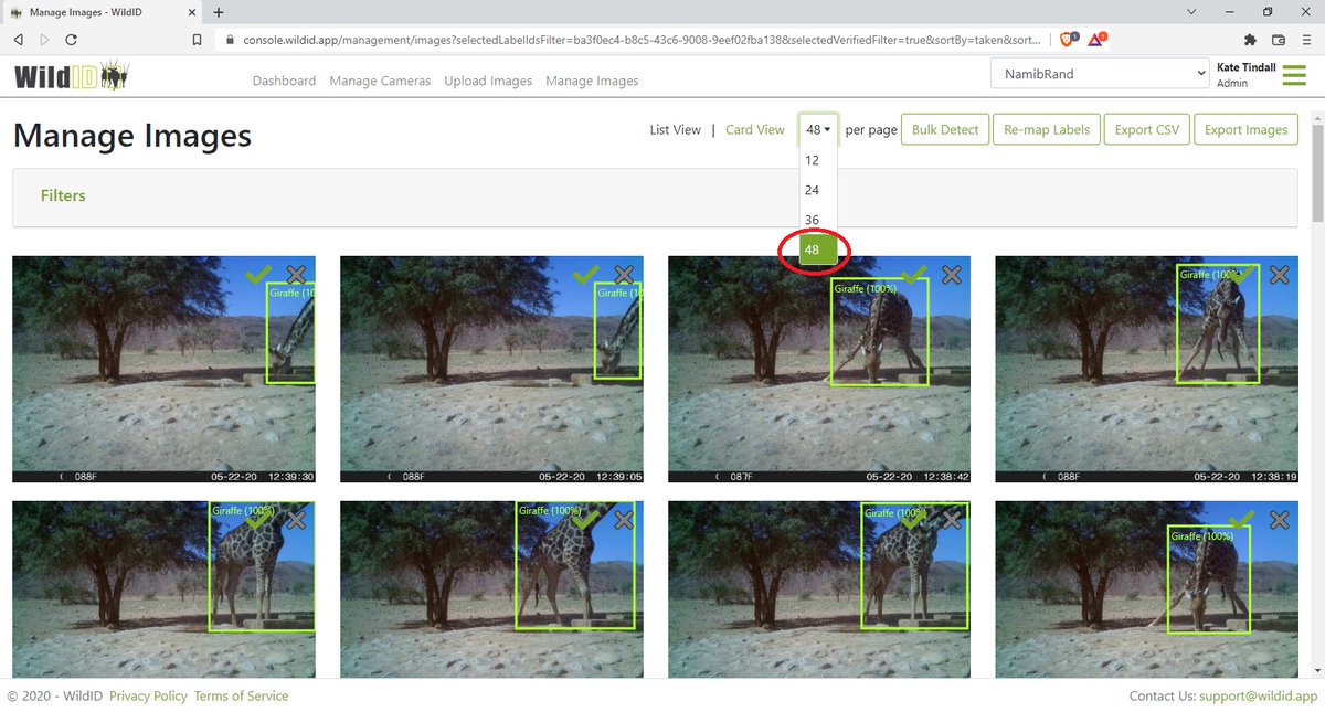 WildIDApp's tweet photo. NEW FEATURE RELEASED! Number of cards to view 
Select the number of cards you view on each page of search results in WildID - up to 48 cards at a time. 
Verify all cards on the page at once, speeding up bulk verification of your #cameratrap images once they've been auto-detected. https://t.co/LyjxSMxm7a