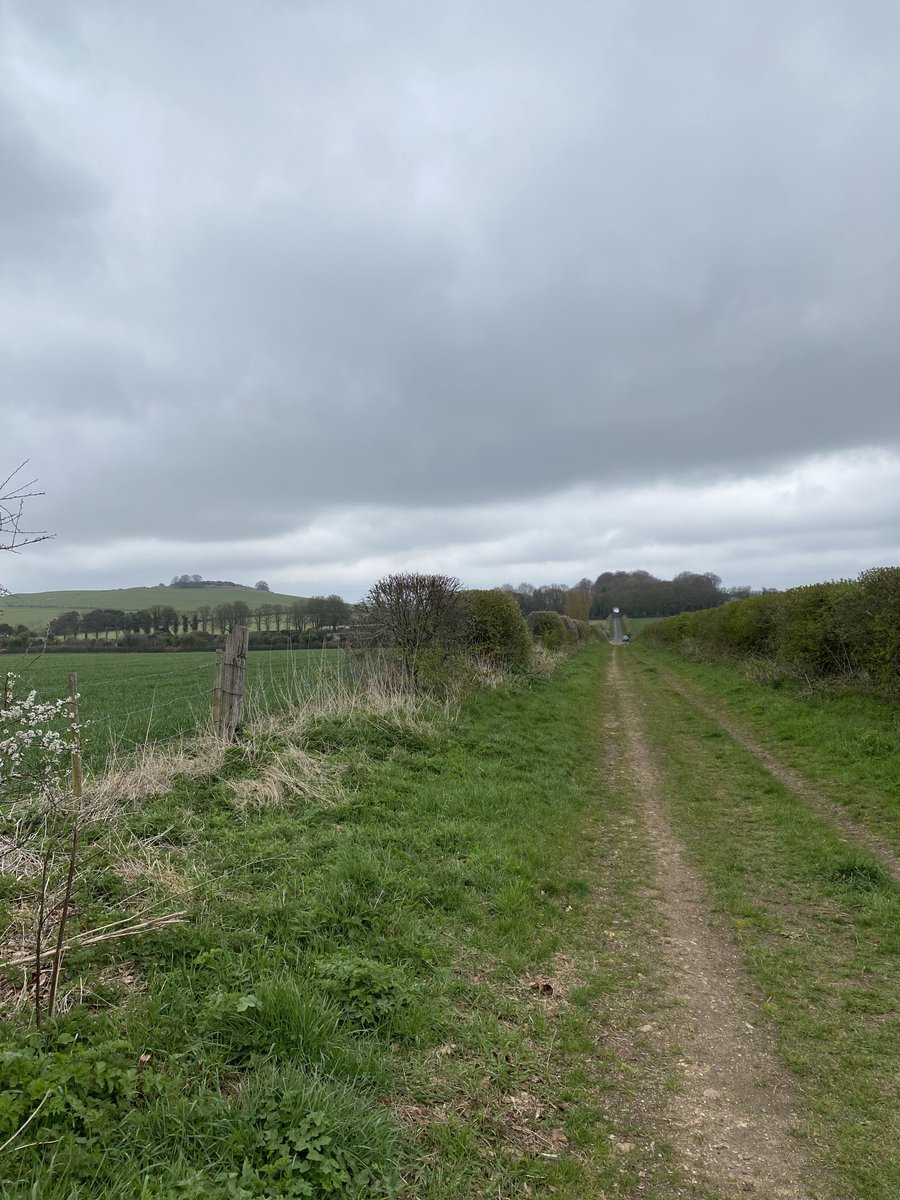 Vicky_liddell's tweet image. Walking a section of the Portway Roman road as it passes just south of Quarley Hillfort near Grateley. The road linked Silchester (Calleva Atrebatum) with Old Sarum (Sorviodunum).  #RomanBritain #ancienttrackways #ancientbritain #romanroads
