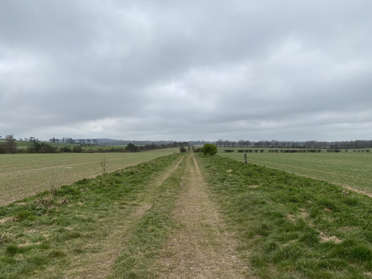 Vicky_liddell's tweet image. Walking a section of the Portway Roman road as it passes just south of Quarley Hillfort near Grateley. The road linked Silchester (Calleva Atrebatum) with Old Sarum (Sorviodunum).  #RomanBritain #ancienttrackways #ancientbritain #romanroads