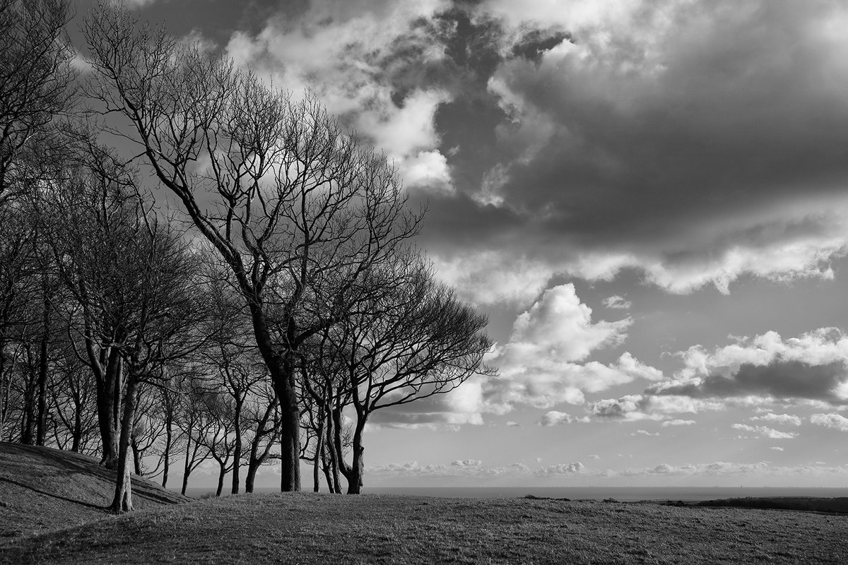 John Brockliss tweet media