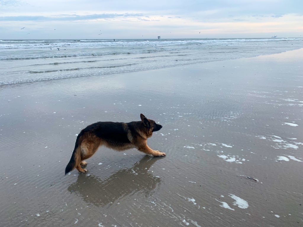 richardtkiewiet tweet media