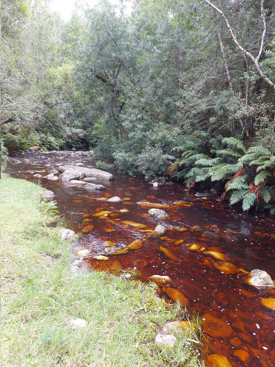 TourvestDM tweet media