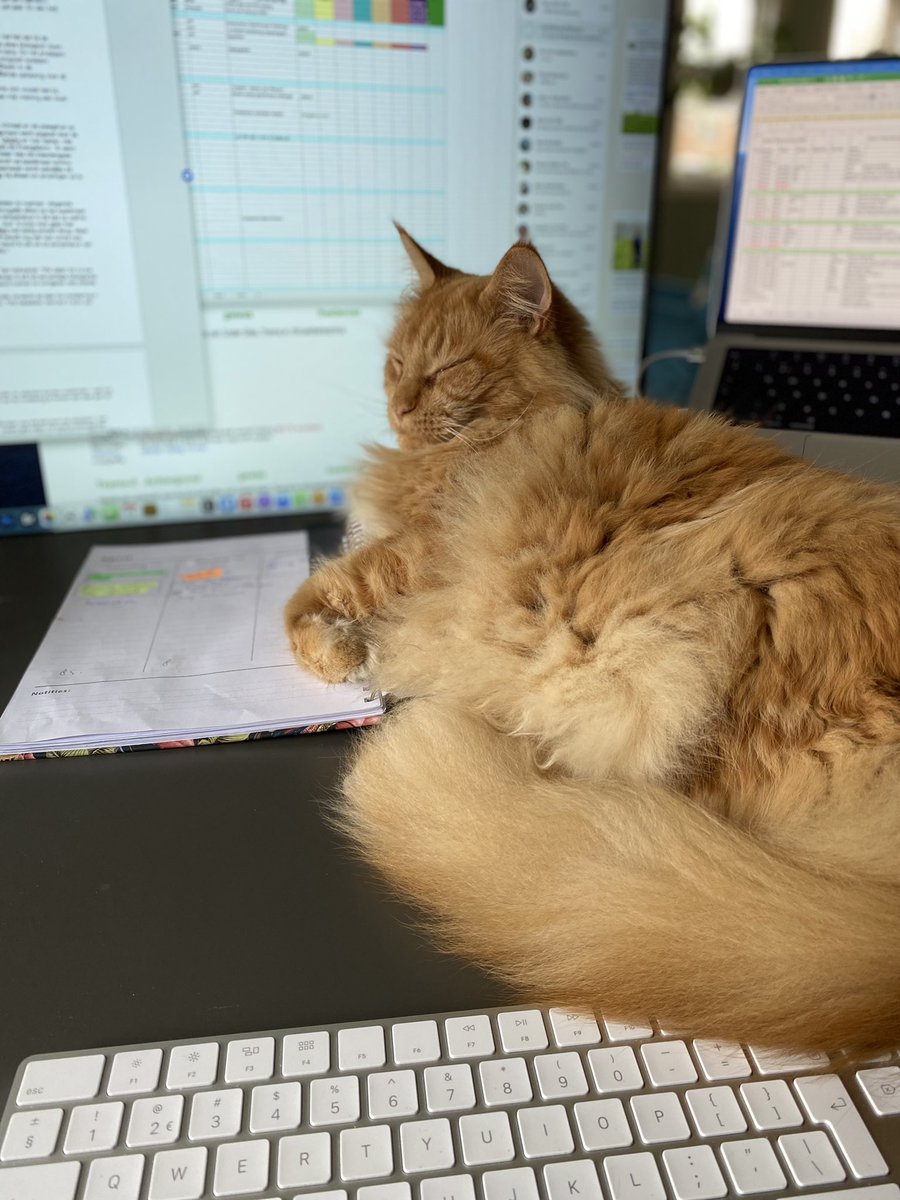 pieternelvv's tweet image. De Redactieassistent is vanmorgen ook aangeschoven