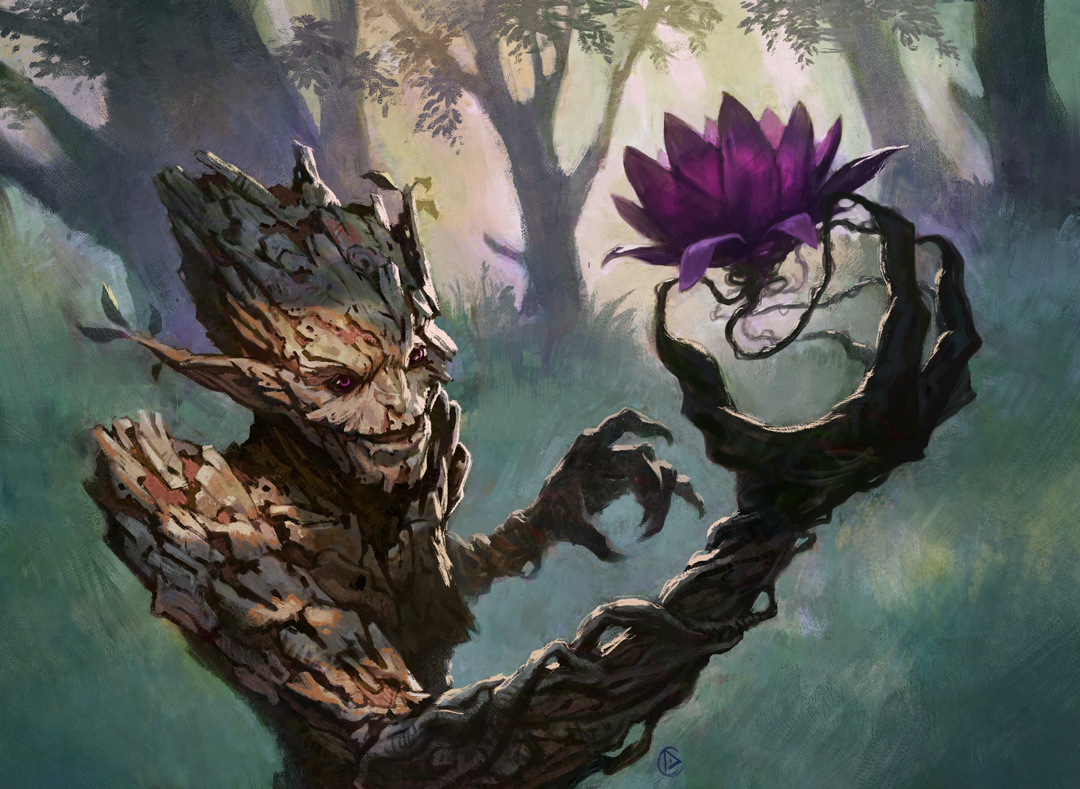 Dimitri Chappuis tweet media